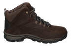 TIMBERLAND in Übergröße WHITE LEDGE WP Mid Hiker brown-3